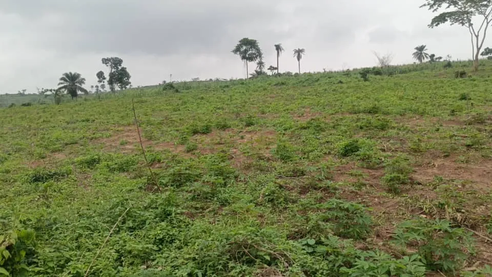 GBI strategic land investment corridor